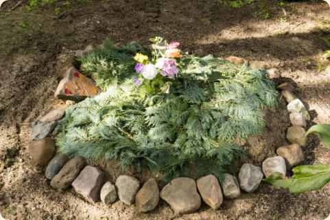 Schlaf gut meine geliebte Fellnase, Ruhe in Frieden